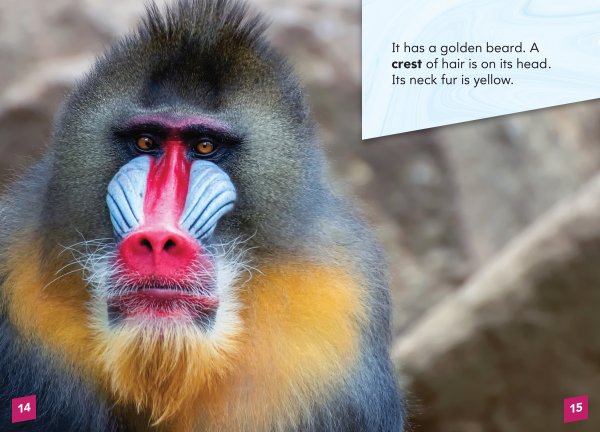 Mandrill - ABDO Books