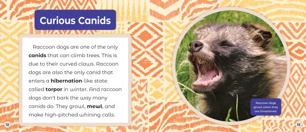 Raccoon Dogs - ABDO Books