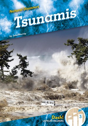 Tsunamis - ABDO Books